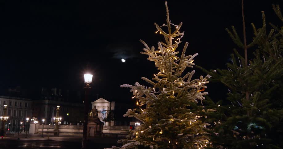 Christmas trees are by the street in the city