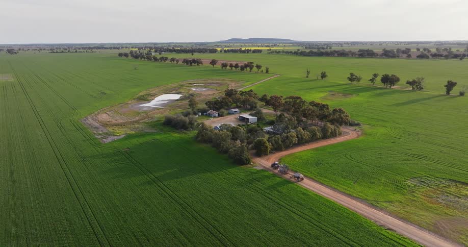 Aerial view of agricultural fields with trucks moving