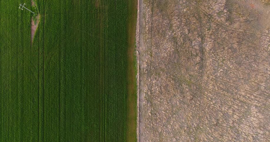 A perfect division of a desert region and a land with green grass