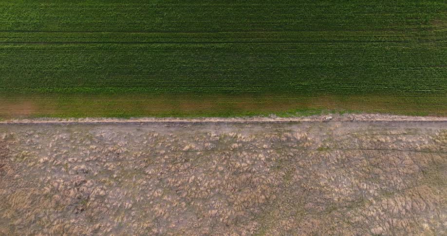 Top down aerial view of a field of crops next to barren land