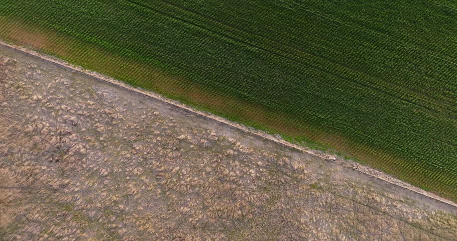 Aerial view of a rural area with plantations and soil