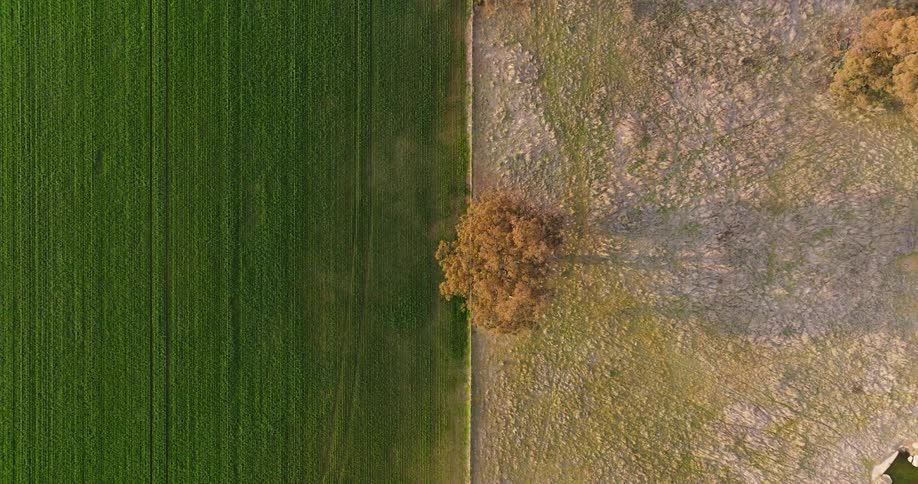 Aerial view of the ground with a green and agricultural field on one side and a dry field on the other