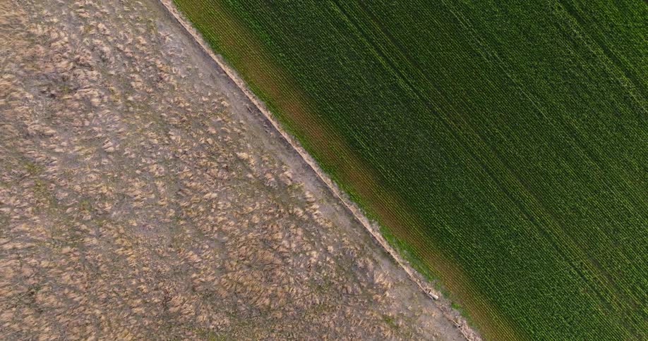 Green crop field contrasts with bordering arid land