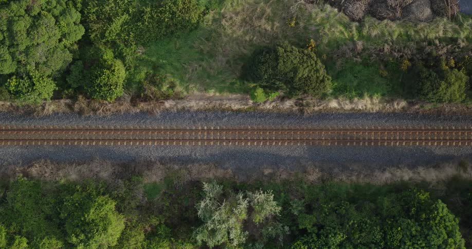 A train road made of wood and some trees around it