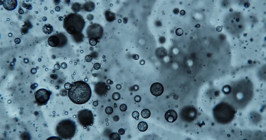 Extreme closeup of black bubbles in an abstract dense liquid