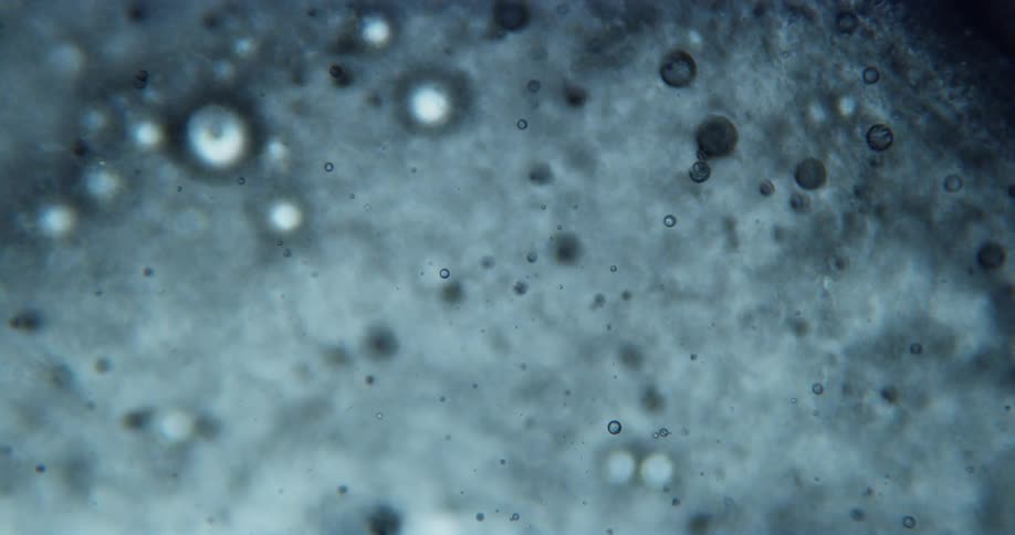 Extreme closeup of small bubbles moving in an abstract dense liquid