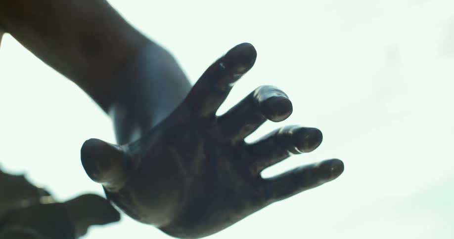 The left hand of a black statue at midday