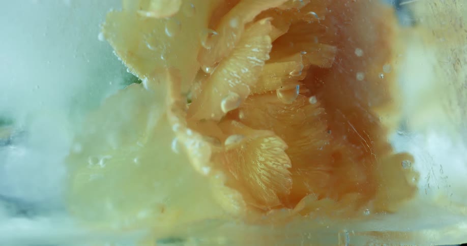 An orange flower sits in the snow with water droplets all over it