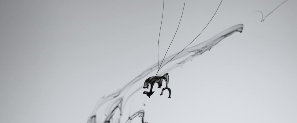 Black ink slowly flowing downward spreading apart against a white background
