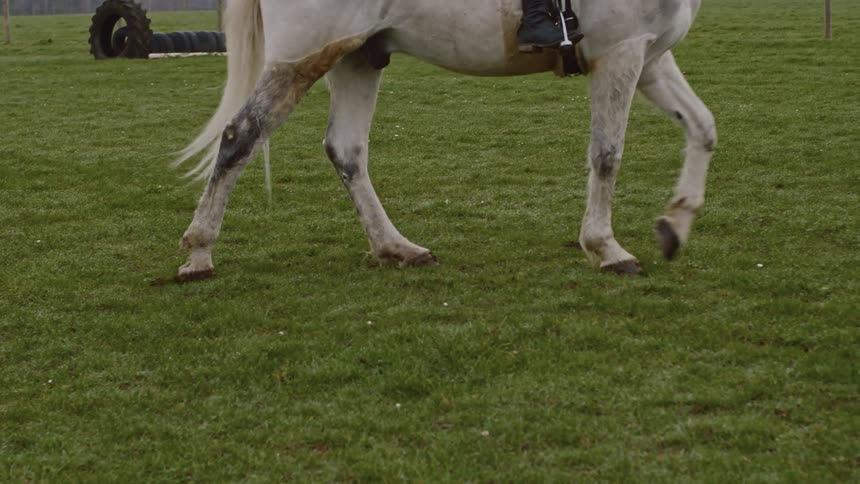 A person is riding a horse