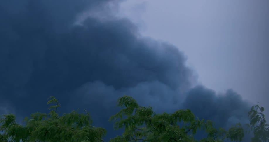 Billowing blue smoke is moving across the sky as trees in the woods bend in the wind