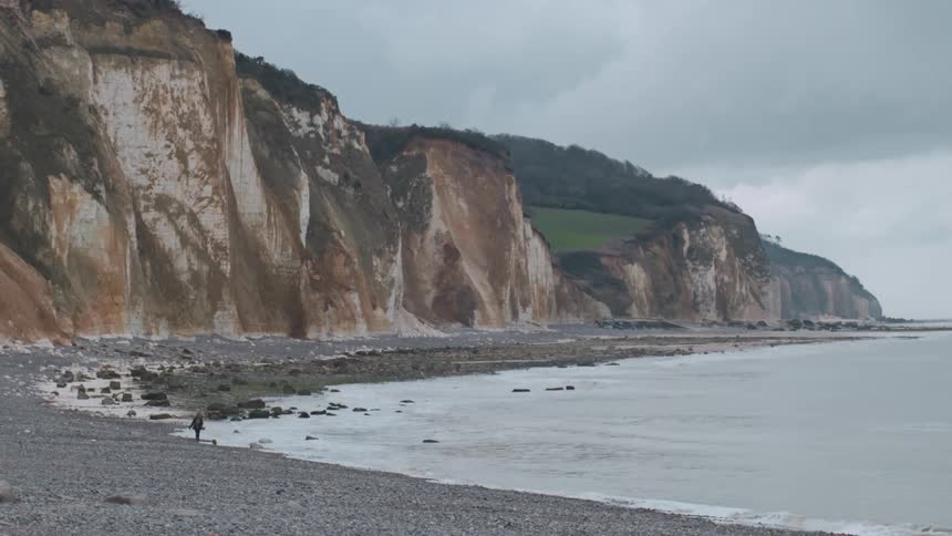 Person walking with a dog by the sea coast