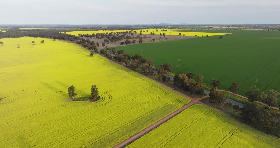 Aerial view of rural areas with distinct shades of green from the plantations and foliage