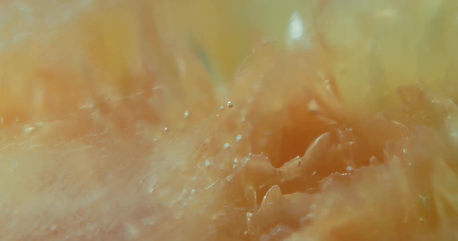 Extreme closeup of a dense and abstract object