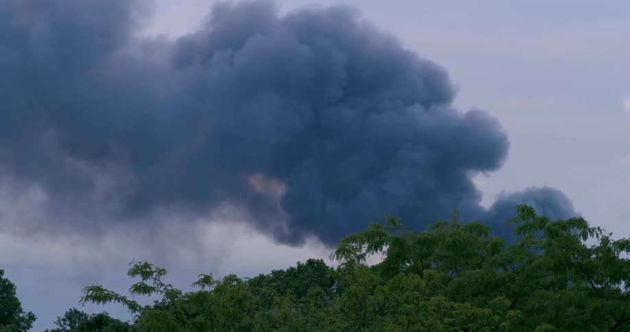 Smoke ascends from the forest against a dusk sky