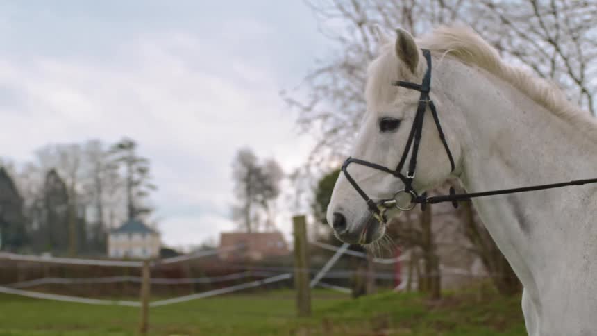 Someone on a moving white horse in a ranch at midday