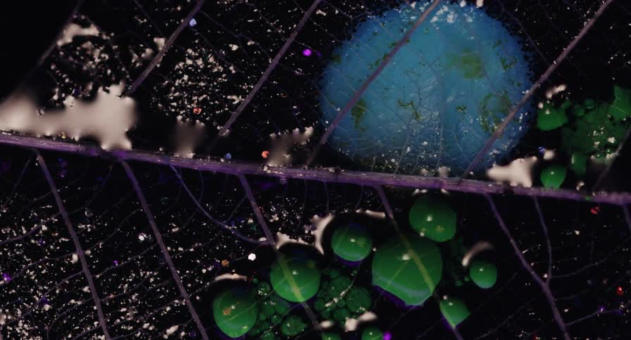 Several green bubbles appearing on the surface of a black liquid