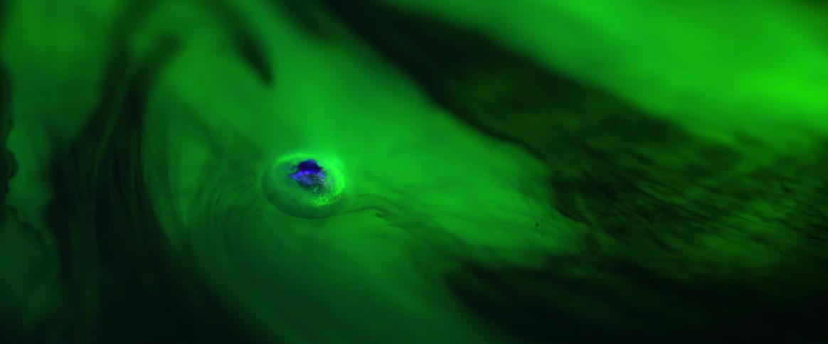 Lake with green water with a blue dot floating
