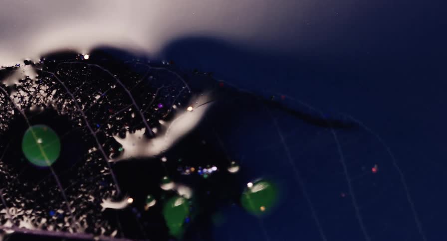 The black object slowly sinks in the water