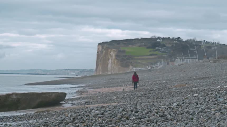 A female stand next to a dog by the coast at midday