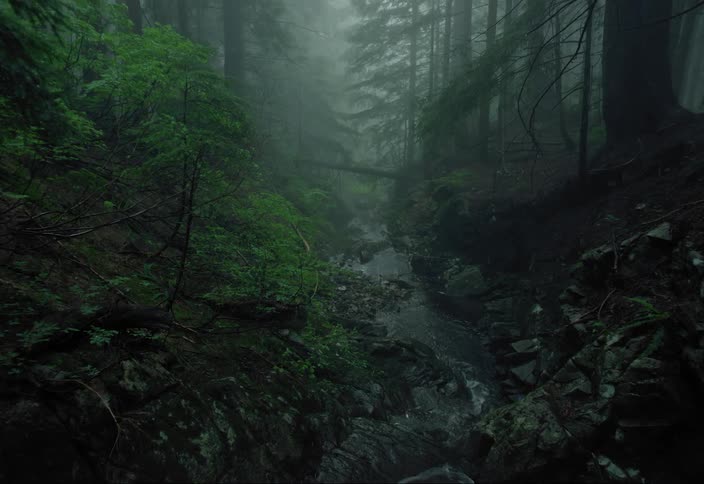 Water flows down rocks and into a stream running through a misty dark forest