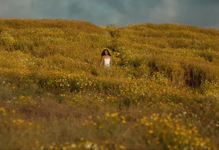 A young woman standing in a field of wildflowers at sunset