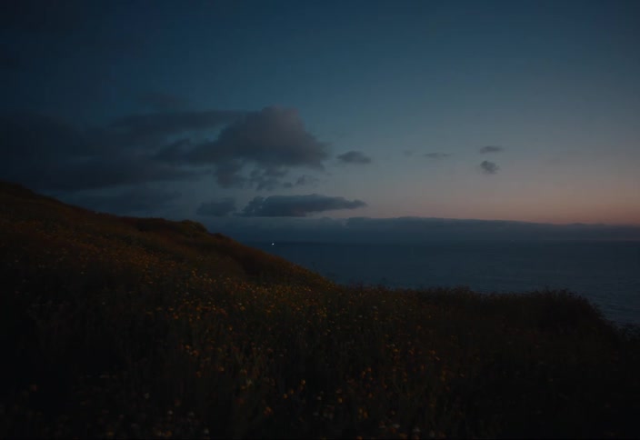 View of the sun setting over the ocean and a cliff of flowers