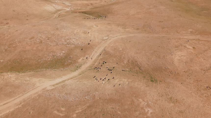 Aerial view of dry ground during the day