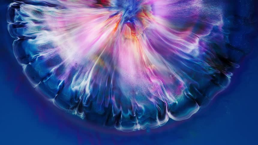 Multicolored mixture expands from center forming a flowerlike shape against a blue background