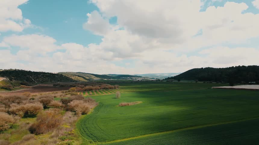Aerial view of an agricultural area with crops