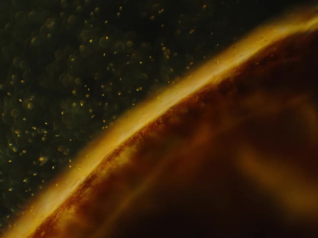 Microscopic shot of pulsating particles floating over tissue