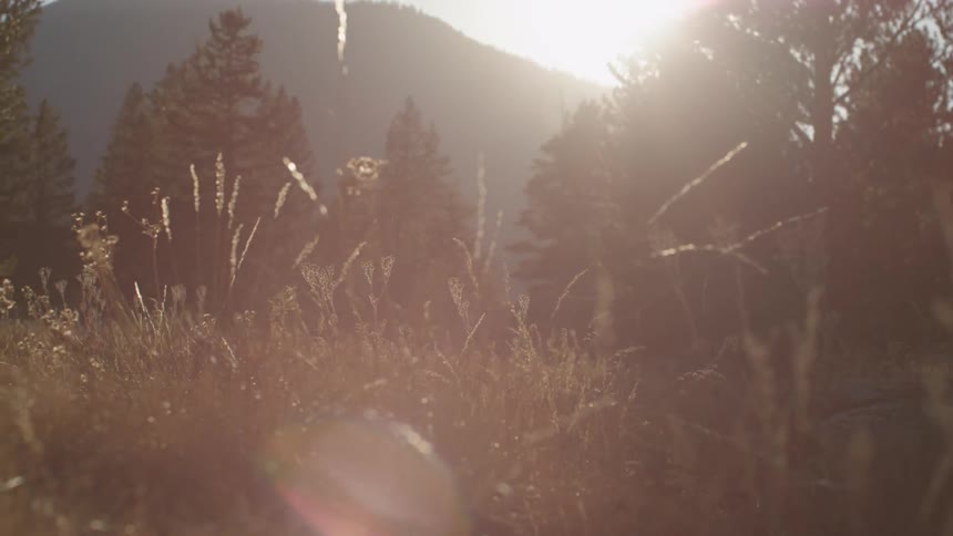 The sun is shining over the mountain ahead