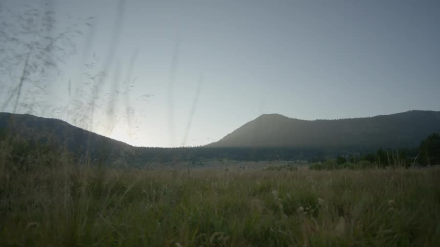 A long field is filled with green grass at sunset