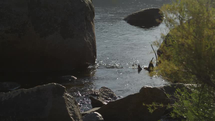 There are many large rocks in the water ahead