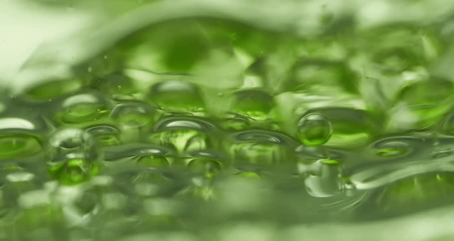 Greenery is shown underneath a clear body of water splashing slowly