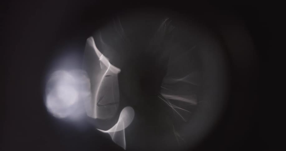 Reflection of light flares against a black background