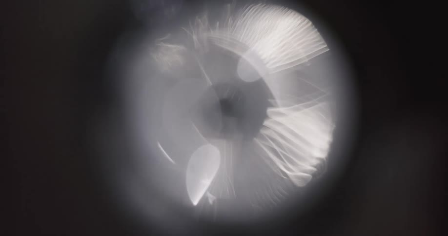 Lens reflects light show featuring shapes and lines