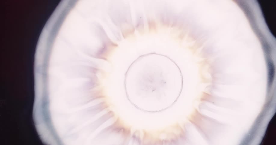 Droplet falling into black liquid expanding with abstract white light