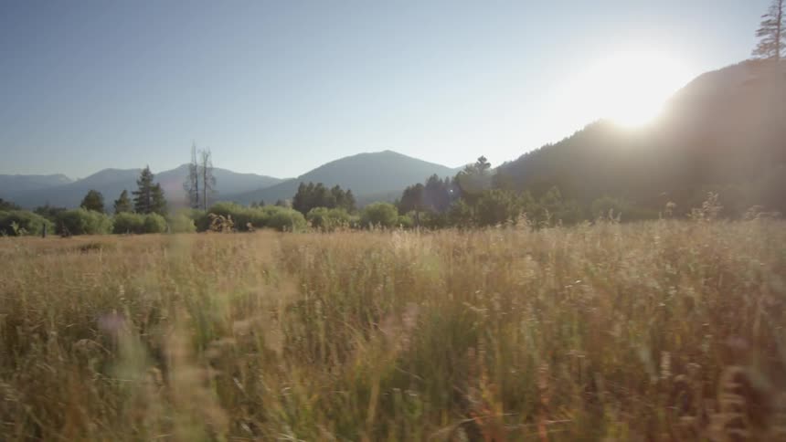 The grass is tall leading up to a mountain at sunset