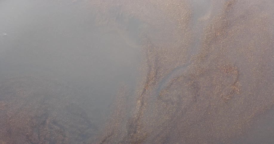 Gold and brown particles flowing and rippling in a white liquid