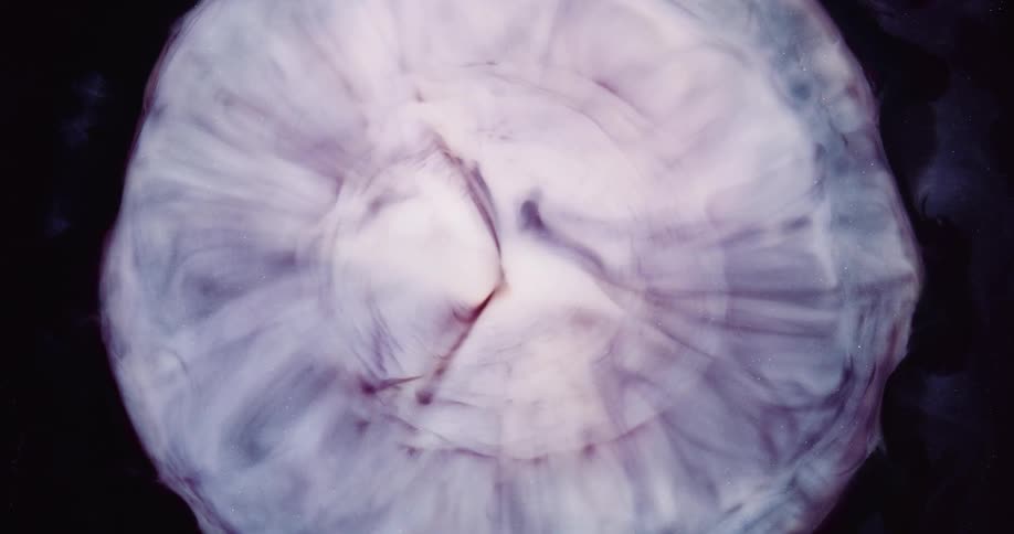 The fractal art expands in view