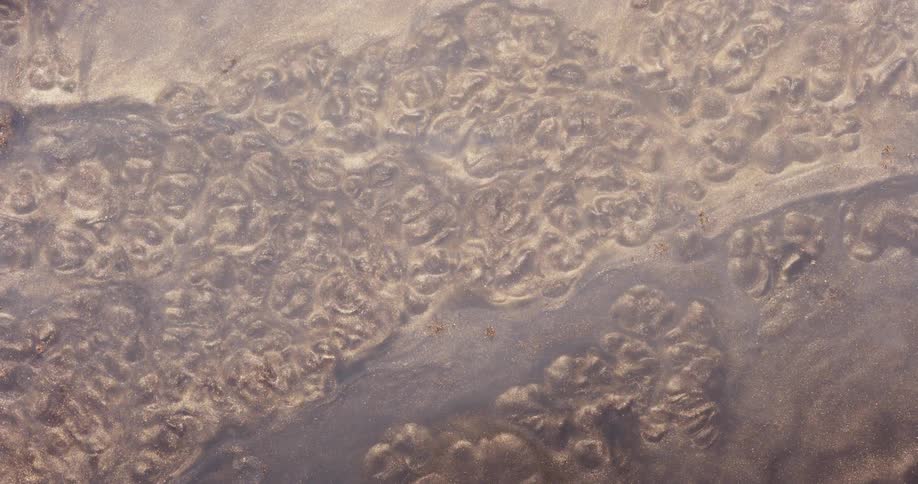 Small bubbles roil across surface of pale purple liquid