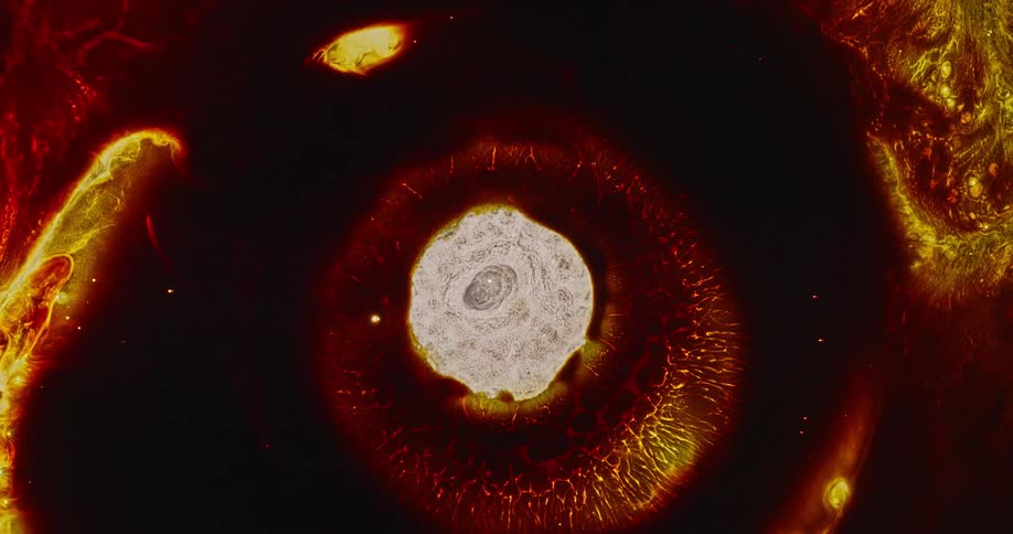 A hole emerges in the darkness as a ring of red glowing embers echo across space as it grows among illuminated nebula
