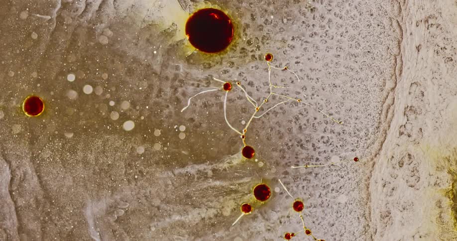 Dark oil like liquid separates in a pool of boiling water that fizzes and brings the oil back up from below