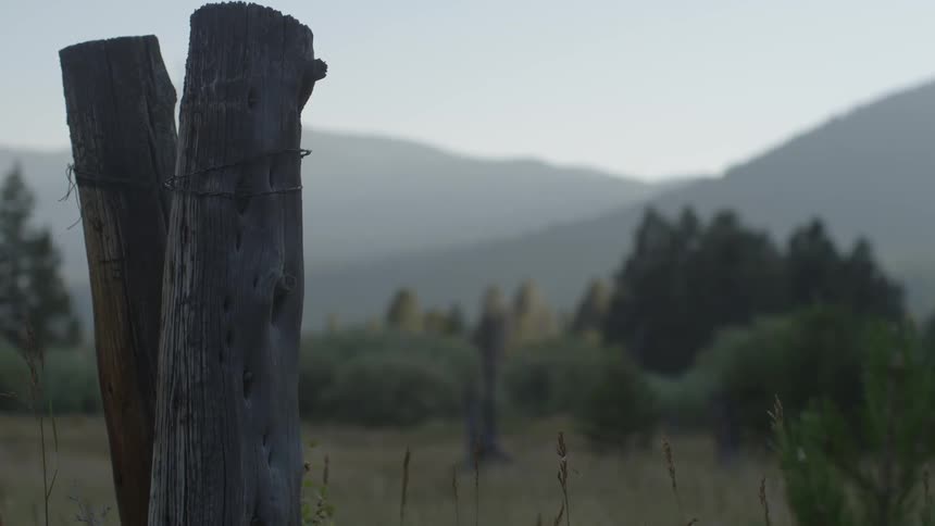 Wooden stakes are in the ground tied together on this field