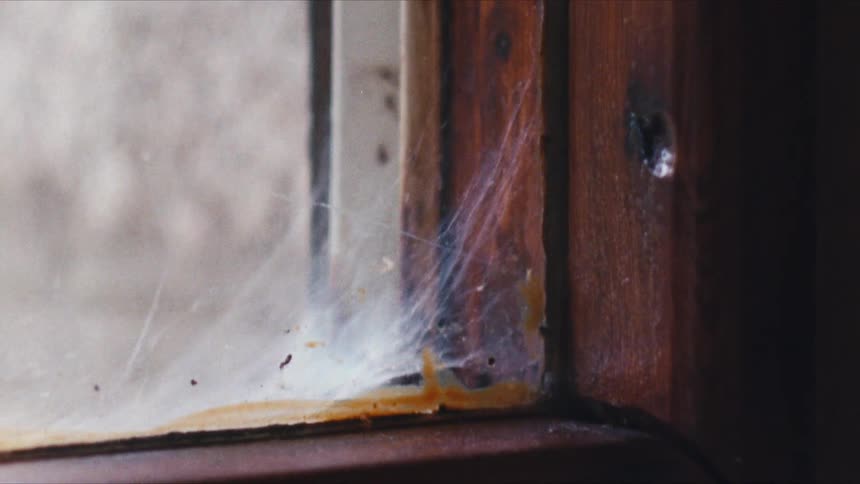 Spiderweb in the corner of a windowsill