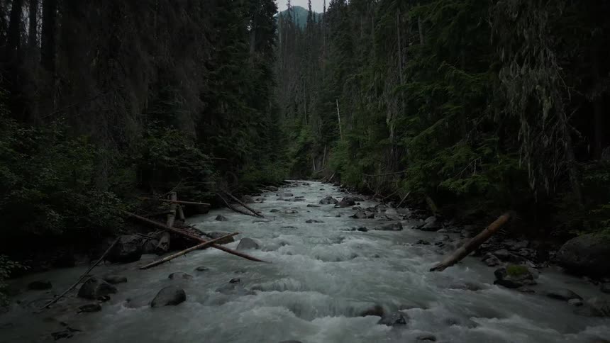 River rapids flow over rocks through a forest with a mountain in the distance