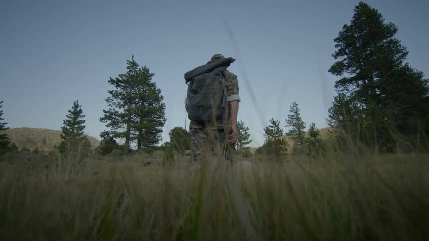 A man is hiking through the grass on a sunny day
