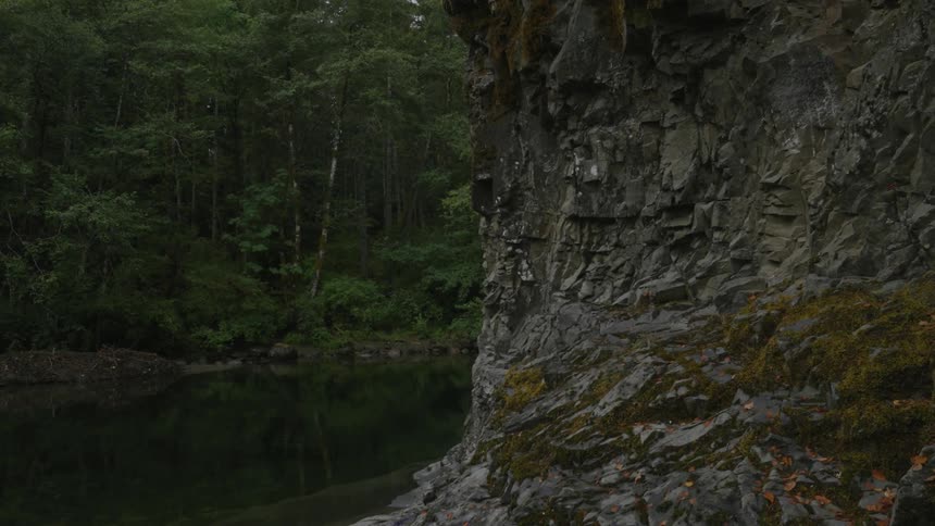 View of a lake in the middle of a forest