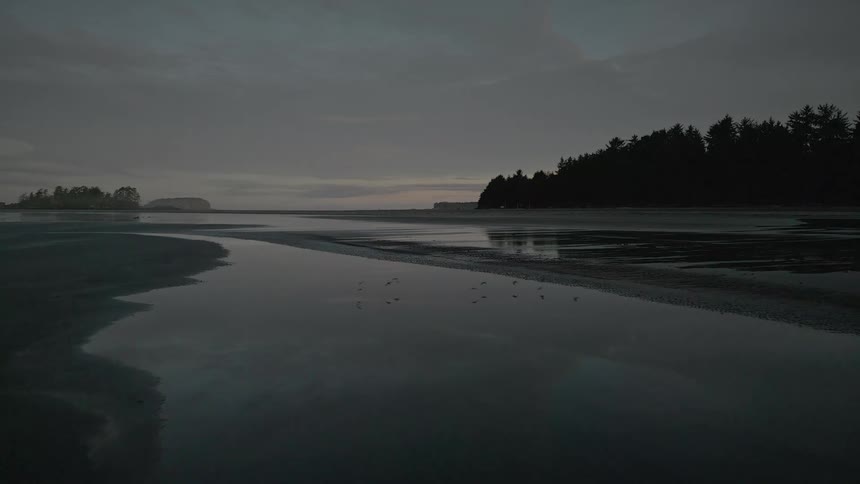 Landscape of a lake at the edge of the sand with small islands and conifers around